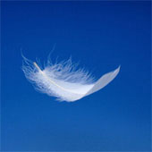 A feather on the breath of God