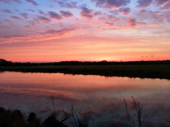 DD3E2A1F-1D8C-42FD-9592-D9E766F493A4